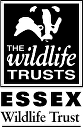 Wildlife Trust Essex
